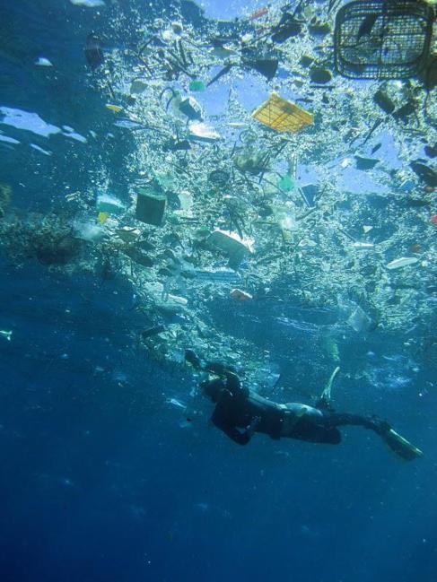 Пластиковый мусор в заливе Ханауна, Гавайи, США